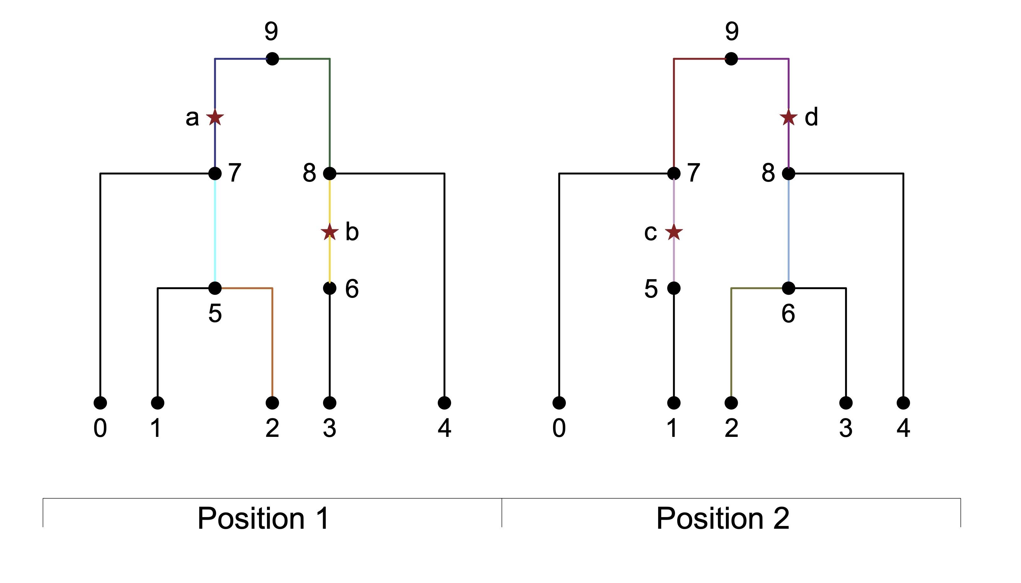 tree sequence diagram